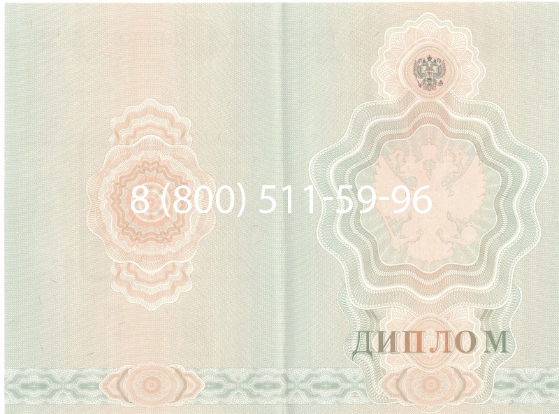 Купить Диплом ПТУ 2007-2010 годов в Северодвинске